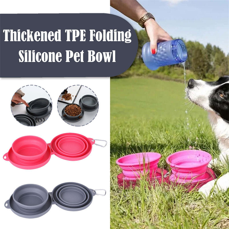 Double Bowl Pet Feeding - Foldable Silicone Bowls with No-Spill Mat