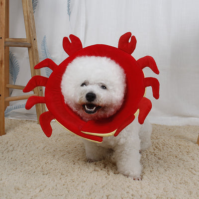 Pet Protection Collar for pet