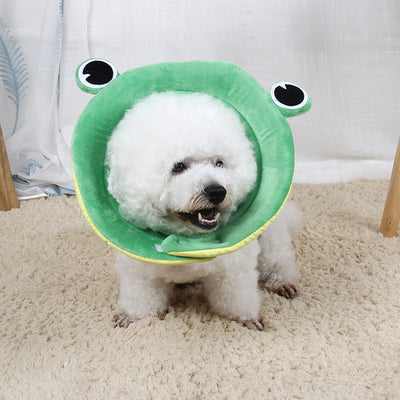 Pet Protection Collar for pet