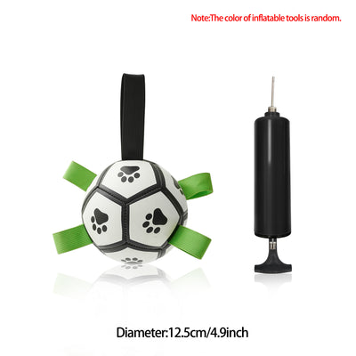 Pet Soccer Ball Inflated Training