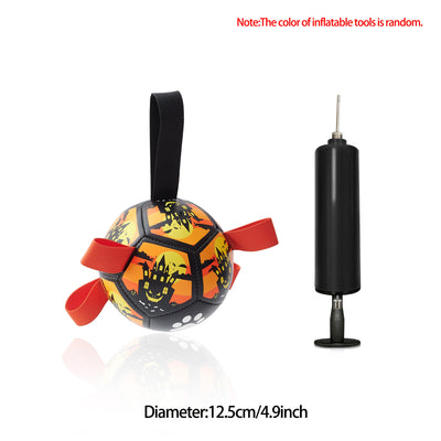 Pet Soccer Ball Inflated Training