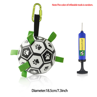 Pet Soccer Ball Inflated Training