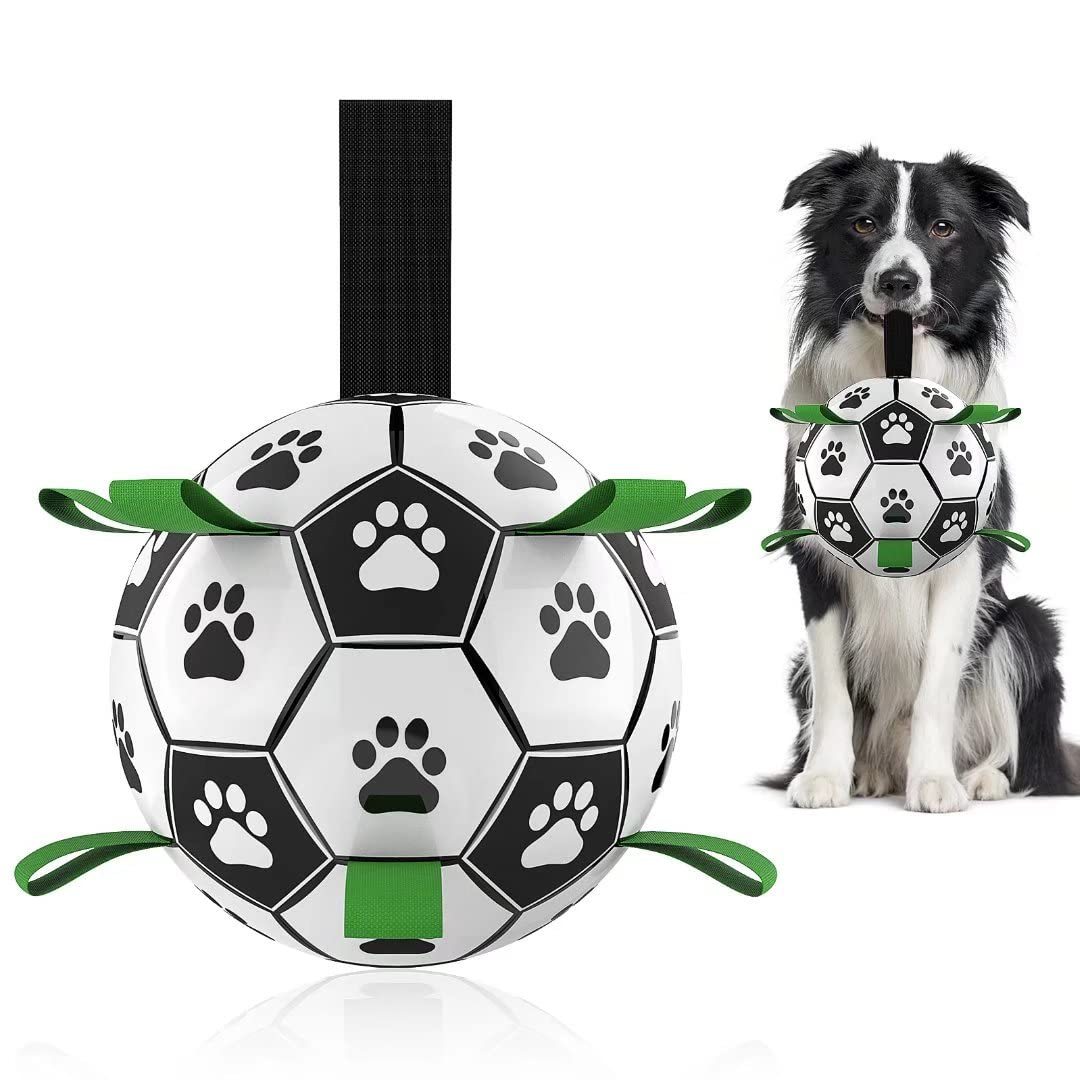 Pet Soccer Ball Inflated Training