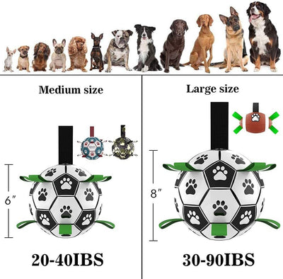 Pet Soccer Ball Inflated Training