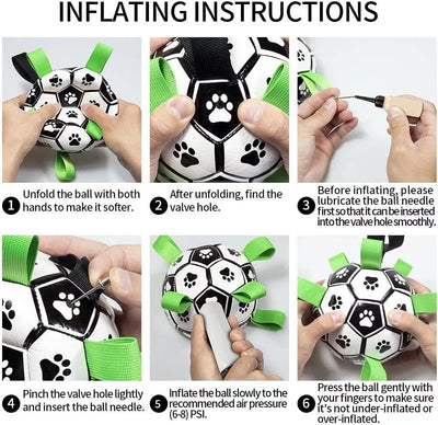 Pet Soccer Ball Inflated Training