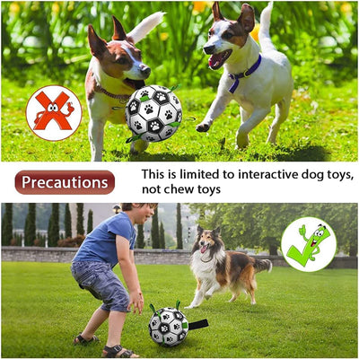 Pet Soccer Ball Inflated Training