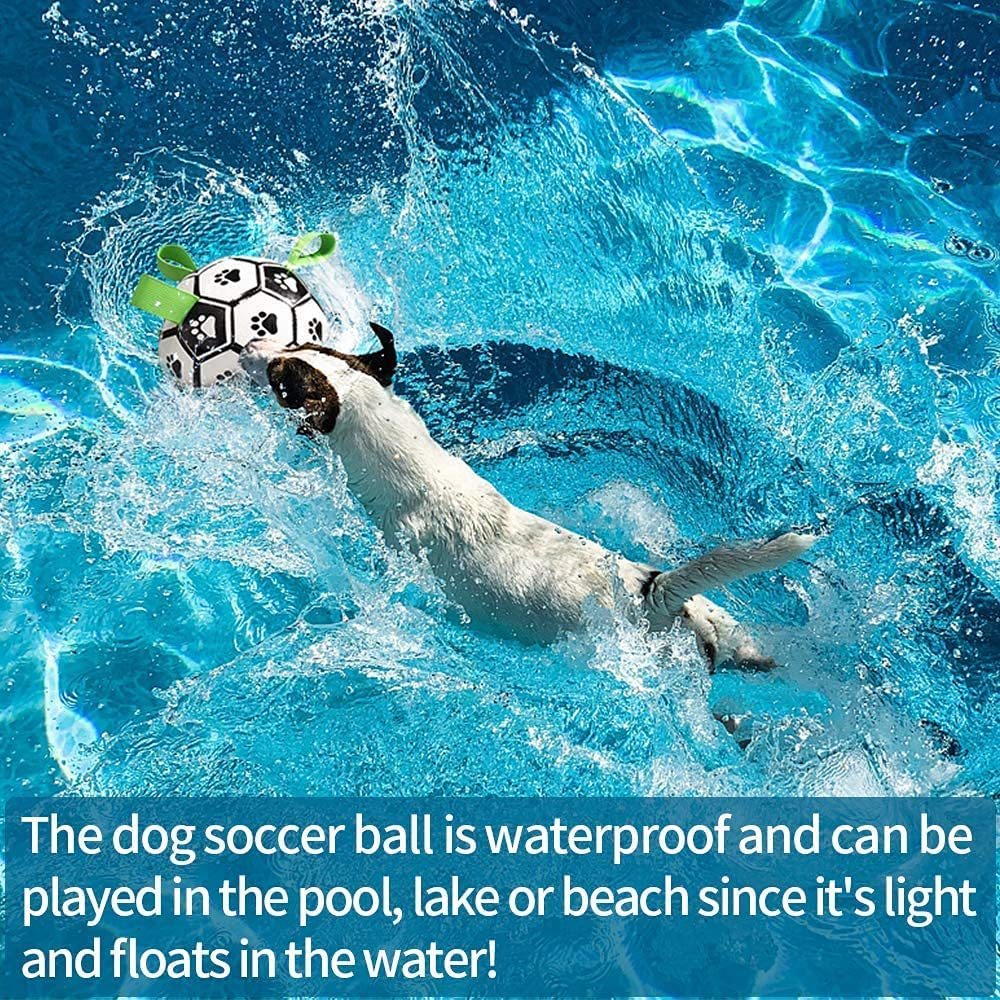 Pet Soccer Ball Inflated Training
