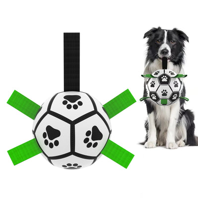 Pet Soccer Ball Inflated Training