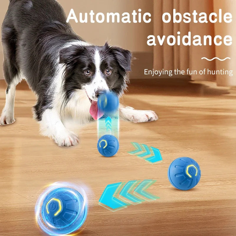 Smart Interactive Pet Ball - USB Automatic Moving Toy for Dogs & Cats