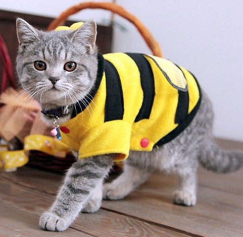 Cute Bee Costume - Soft Fleece Pet Clothes for Dogs & Cats