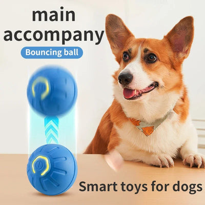 Smart Interactive Pet Ball - USB Automatic Moving Toy for Dogs & Cats