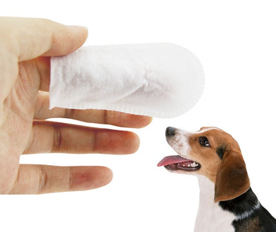 Pet Wipes for Cleaning Teeth
