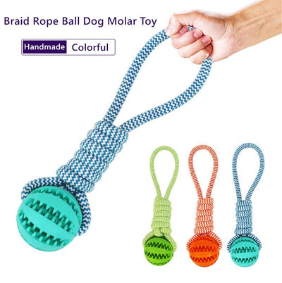 Dog Toys Balls Interactive