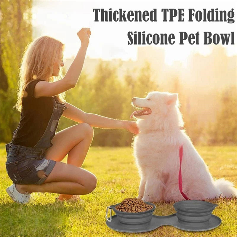 Double Bowl Pet Feeding - Foldable Silicone Bowls with No-Spill Mat
